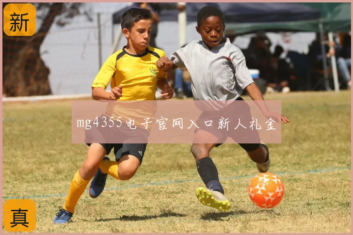 mg4355电子官网入口新人礼金